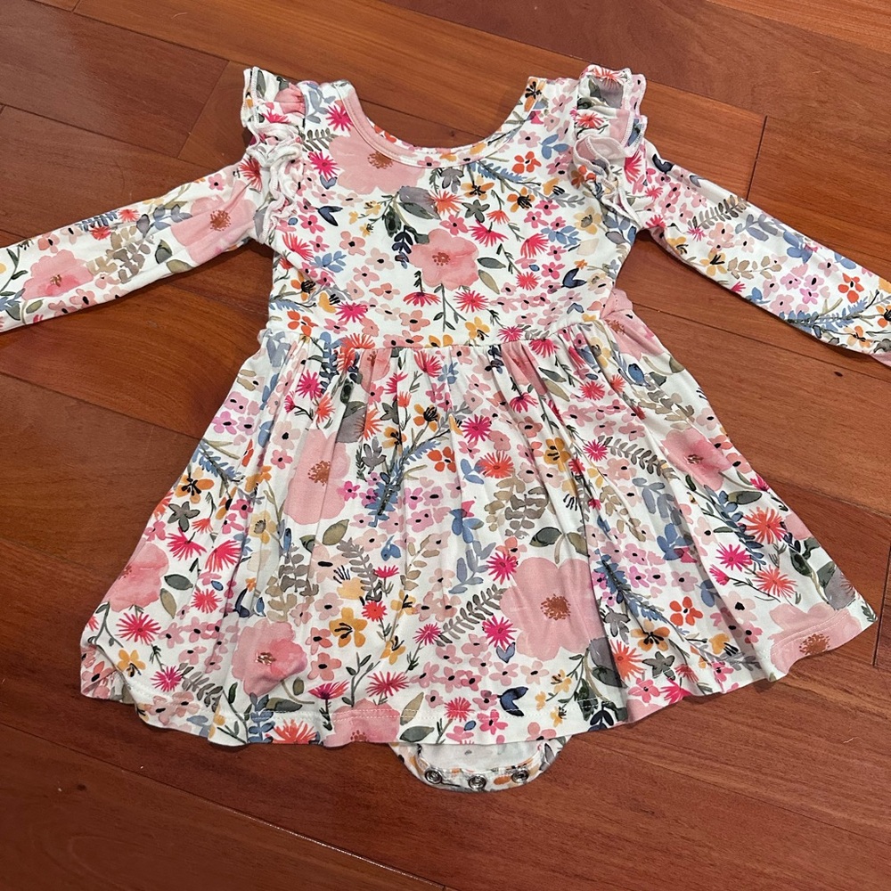 Little sleepies Mauve Meadow long sleeve flutter skater dress 12-18 months